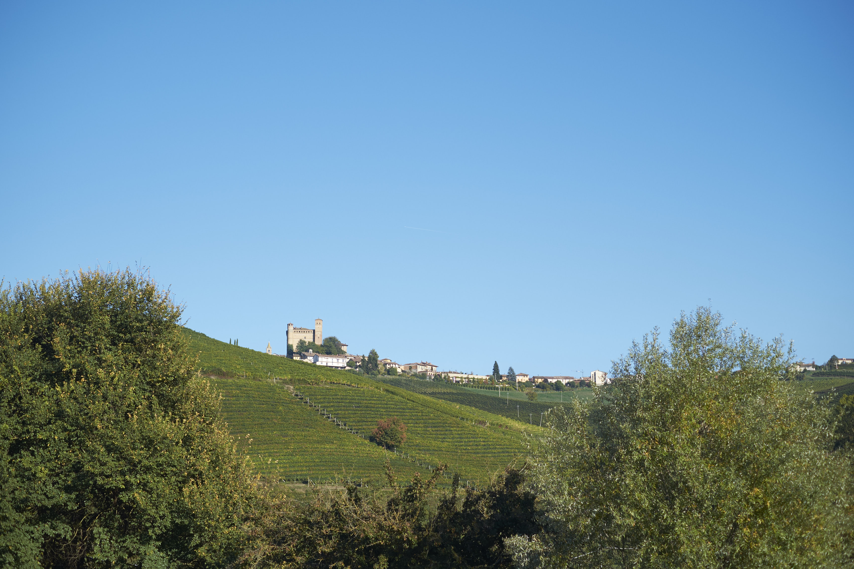 VANITY FAIR | ALBA e le LANGHE